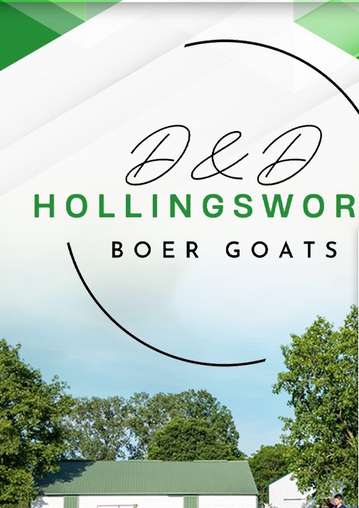 D&D Hollingsworth Boer Goats